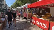 Marchés d'été à Mèze : ambiance et fraîcheur sous les platanes