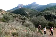 Massif Esterel-Tanneron fermé ce lundi pour risque incendie très sévère