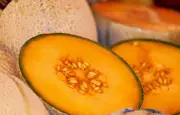 Melons Carrefour rappelés pour cadmium : ne pas consommer