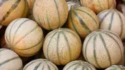 Melons contaminés au cadmium chez Carrefour : rappel national urgent