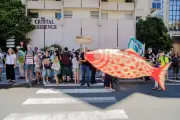 Mégausine de saumons en Gironde : un projet contesté avance