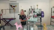 Miss Dog : un salon de toilettage pour le bien-être animal à Magalas