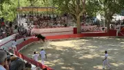 Montfrin : le centenaire des arènes célébré en grande pompe