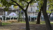 Montpellier : une jeune femme agressée gratuitement dans un parc
