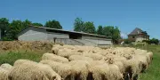 Mort traumatique suspecte en milieu rural : la médecine légale éclaire l'enquête