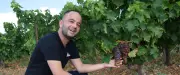 Muscat de Frontignan : 90 ans et une victoire historique pour l'AOP