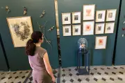 Nature et animaux envahissent l'Été Contemporain à Draguignan pour sa 34e édition