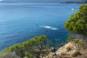 Naufrage à La Croix-Valmer : préjudice écologique reconnu pour posidonie