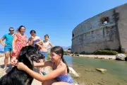 Nouvelle caniplage de Toulon : 2000 m² dédiés aux chiens à la Tour Royale