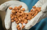 Nouvelle évacuation près d'un labo de drogue aux Pays-Bas