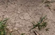 Nouvelle vague de chaleur extrême en France : 41,4°C à Cahors