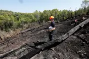 Noyage des lisières : le travail ingrat des pompiers pour fixer l'incendie de Pontevès