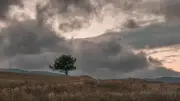 Orages et grêle en Languedoc-Roussillon : l'humidité gagne avant un retour de la chaleur