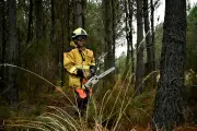 Pare-feu : boucliers d'urgence et armes de pointe contre les incendies