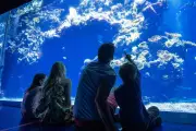Pass Côte d'Azur France : 3 activités à prix doux
