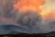 Pastoralisme : la Conf' demande un soutien pour prévenir les incendies
