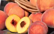 Pêche : bienfaits nutritionnels, calories et astuces pour la consommer