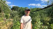 Permaculture : les astuces de l'Oasis Citadine pour sauver vos légumes de la canicule