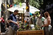 Permis de végétaliser à Toulon : des habitants embellissent leur quartier