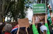 Pesticides interdits : le Sénat vote leur retour, une pétition citoyenne relancée