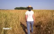 Peut-on cultiver sans pesticides à grande échelle ? L'INRAE répond