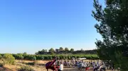 Piano dans les vignes : une soirée musicale et gourmande à Montagnac