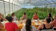 Pinceau & Vino investit la serre municipale pour une soirée art et bien manger