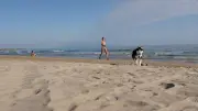 Plages du Biterrois : où peut-on aller avec son chien cet été ?