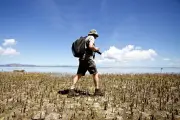 Pourquoi l'IRD ne doit pas être absorbé par le CNRS