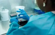 Premier cas d'Ebola en France déclaré guéri et sorti de l'hôpital