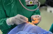 Première greffe de la macula : une Italienne recouvre la vue