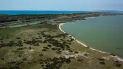 Programme d'animations nature gratuites sur le littoral du Pays de l'Or