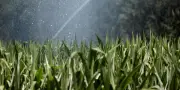 Projet de loi urgence agricole : les acteurs de l'eau mobilisés