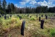 Prévention des incendies : tensions en forêt