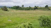 PSE Aubrac : 115 éleveurs récompensés pour préserver zones humides