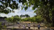 Pétanque : l'EBGU mise sur le format mêlée-démêlée pour tous