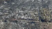 Pyromane nu arrêté dans le Var : un demi-hectare ravagé, 142 interpellations