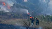 Pyromane ou incendiaire : quelle différence ? Décryptage après l'incendie de Fontainebleau