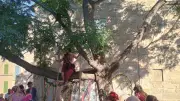 Pézenas : un été festif riche en culture et émotions