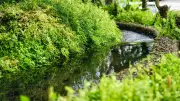 Quadragénaire noyé dans 50 cm d'eau à Arques : enquête ouverte