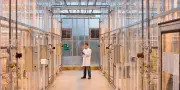 Qu'est-ce qu'un consensus scientifique ? Explication en vidéo