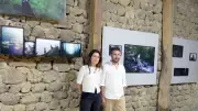 Quinzaine Cult' : deux expos photo sur les brebis en Lozère