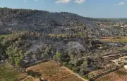 Record alarmant : 42 000 hectares brûlés en France à la mi-juillet 2026