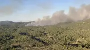 Reprise du feu à Carlencas : quatre Canadair déployés face à un mur de flammes de 100 mètres