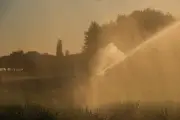 Restrictions d'eau : la Coordination Rurale appelle à désobéir