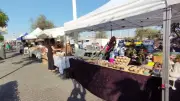 Retour des marchés nocturnes à Palavas-les-Flots dès le 7 juillet