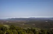 Risque incendie très sévère dans les Bouches-du-Rhône : 20 massifs fermés