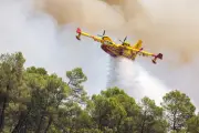 Risque très sévère de feux de forêt : quatre massifs du Var fermés vendredi