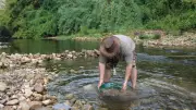 Rochegude régule la ruée vers l'or sur la Cèze pour protéger la rivière