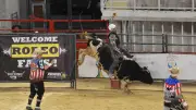 Rodéo américain aux arènes de la Pescalune : plus belles photos